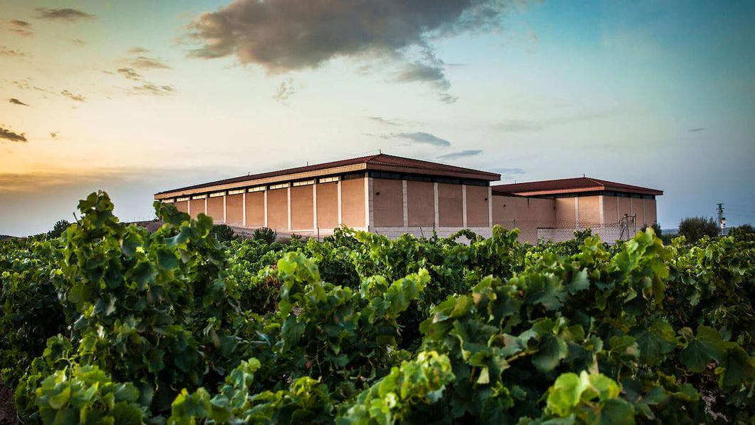 Rioja Blanco Fermentado en BARRICA, 2023