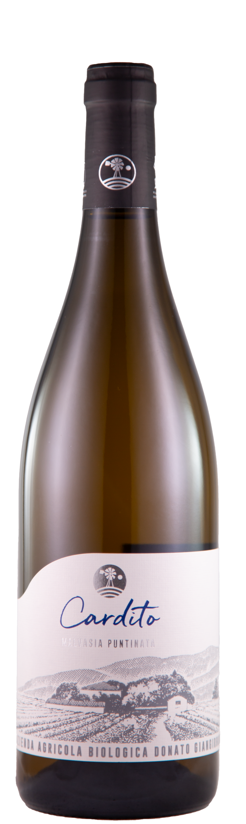 Malvasia ‘Cardito’, 2024