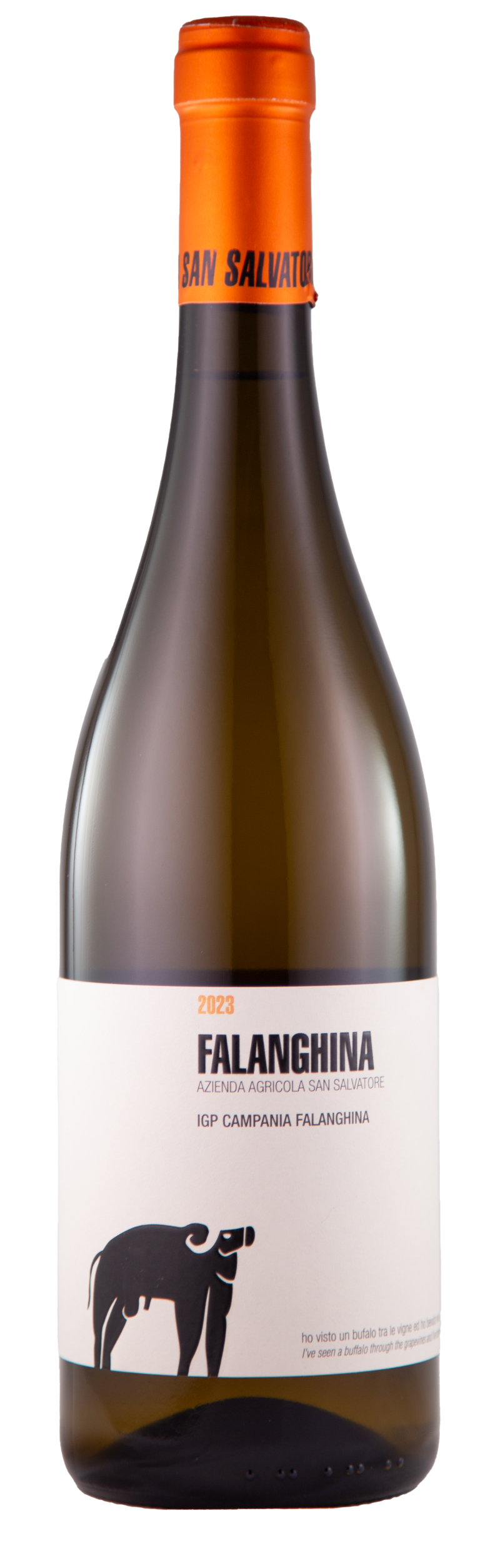 Falanghina IGP Campania, 2023