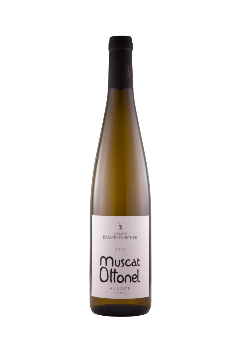 Muscat Ottonel, 2023