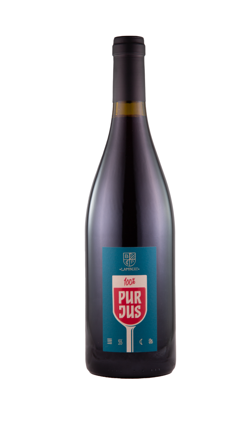 Chinon rouge 100% Pur Jus, 2023