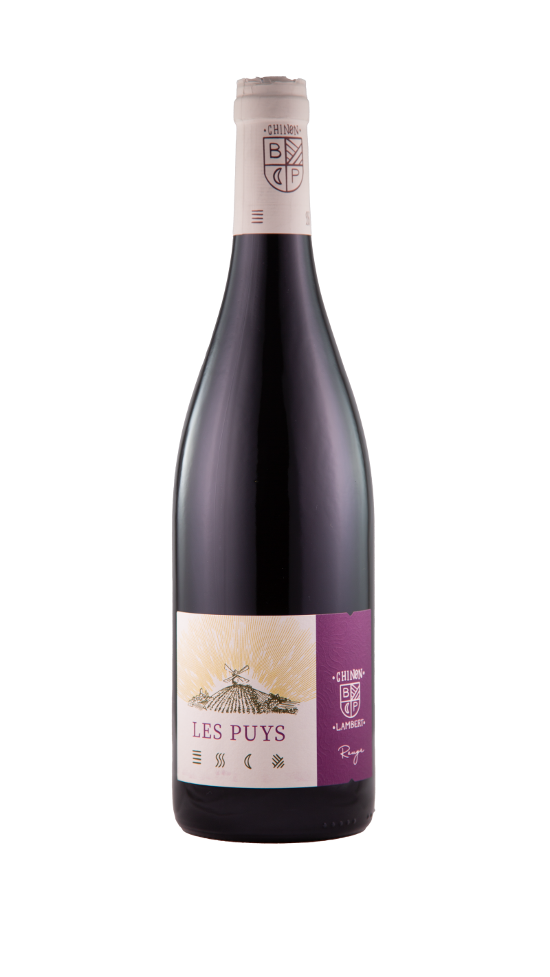 Chinon rouge 'les Puys'  Danae, 2019