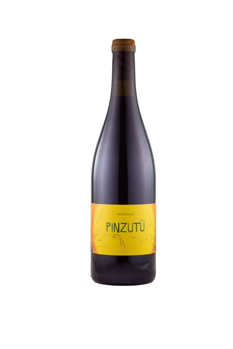 Pinzutu, 2024