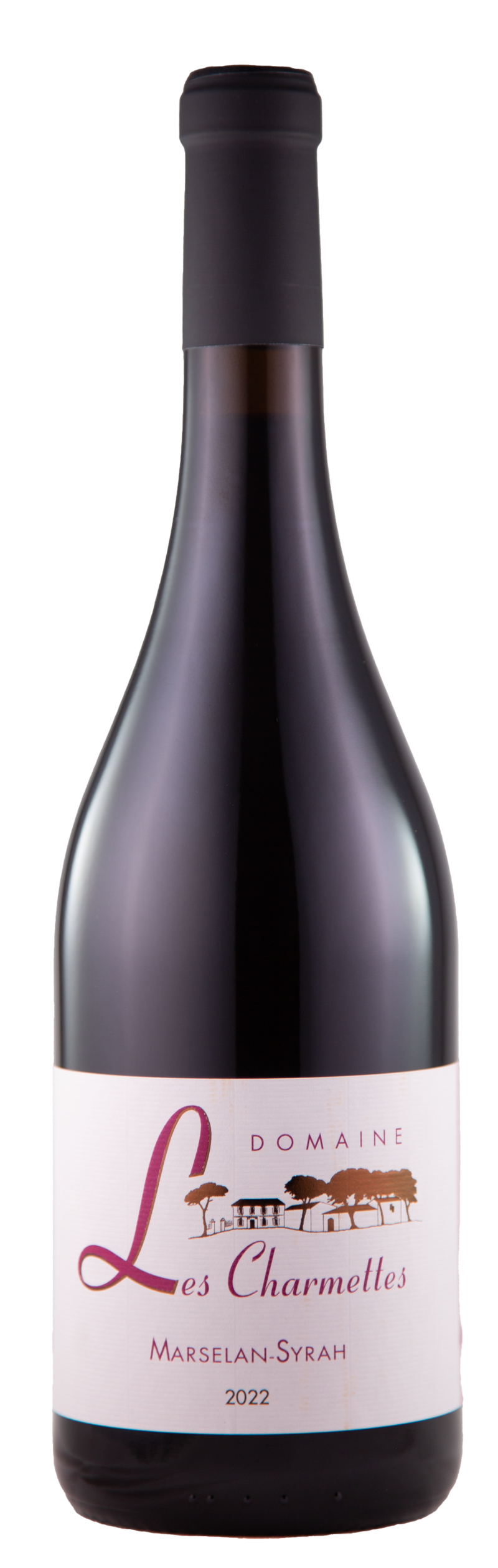 Marselan Syrah, 2022