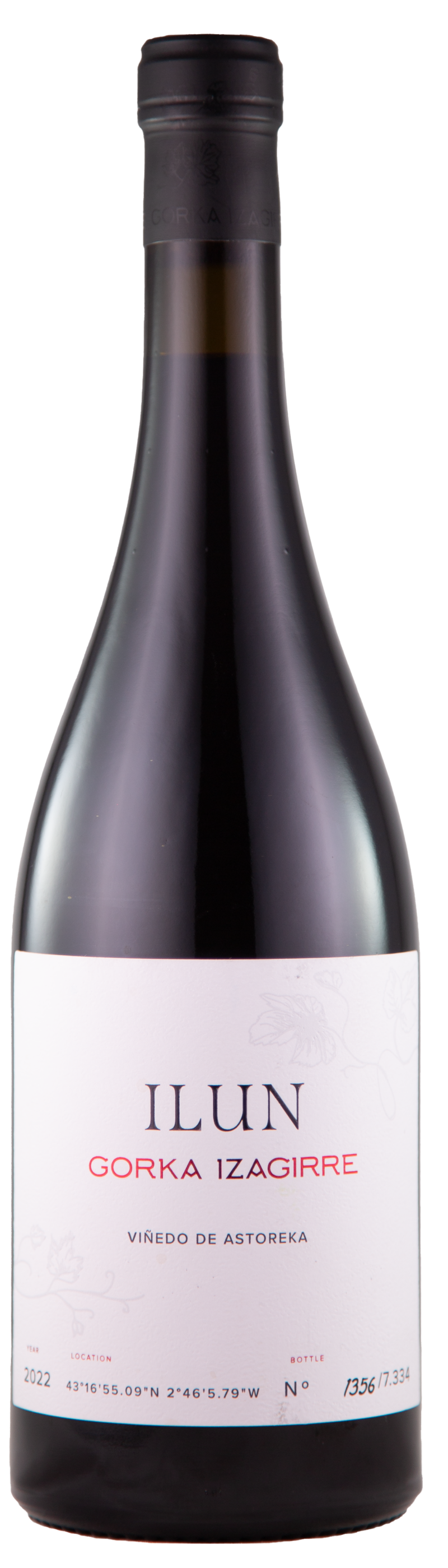 Txakoli Tinto Ilun, 2022