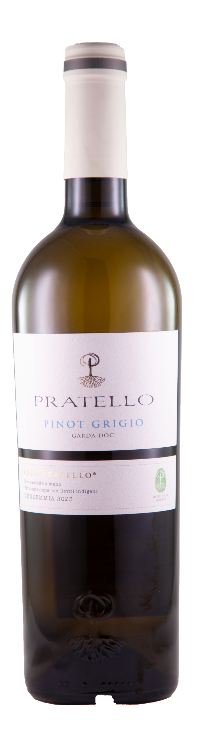 Pinot Grigio Garda, 2024