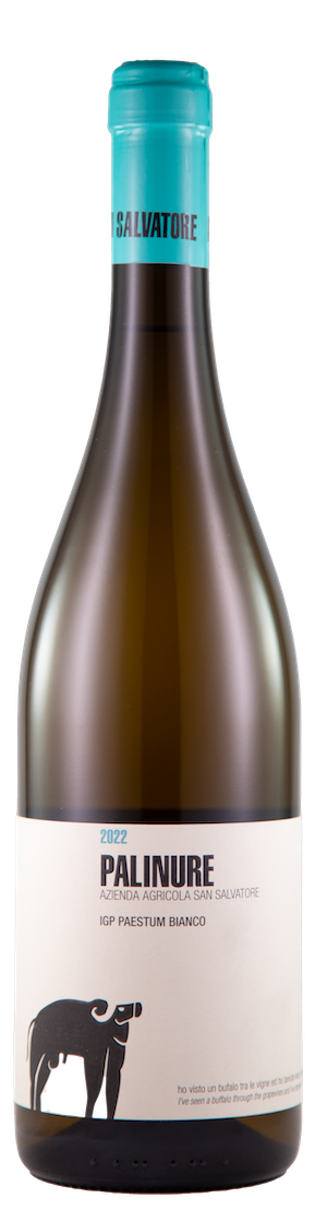 Palinure IGP Paestum Bianco, 2023