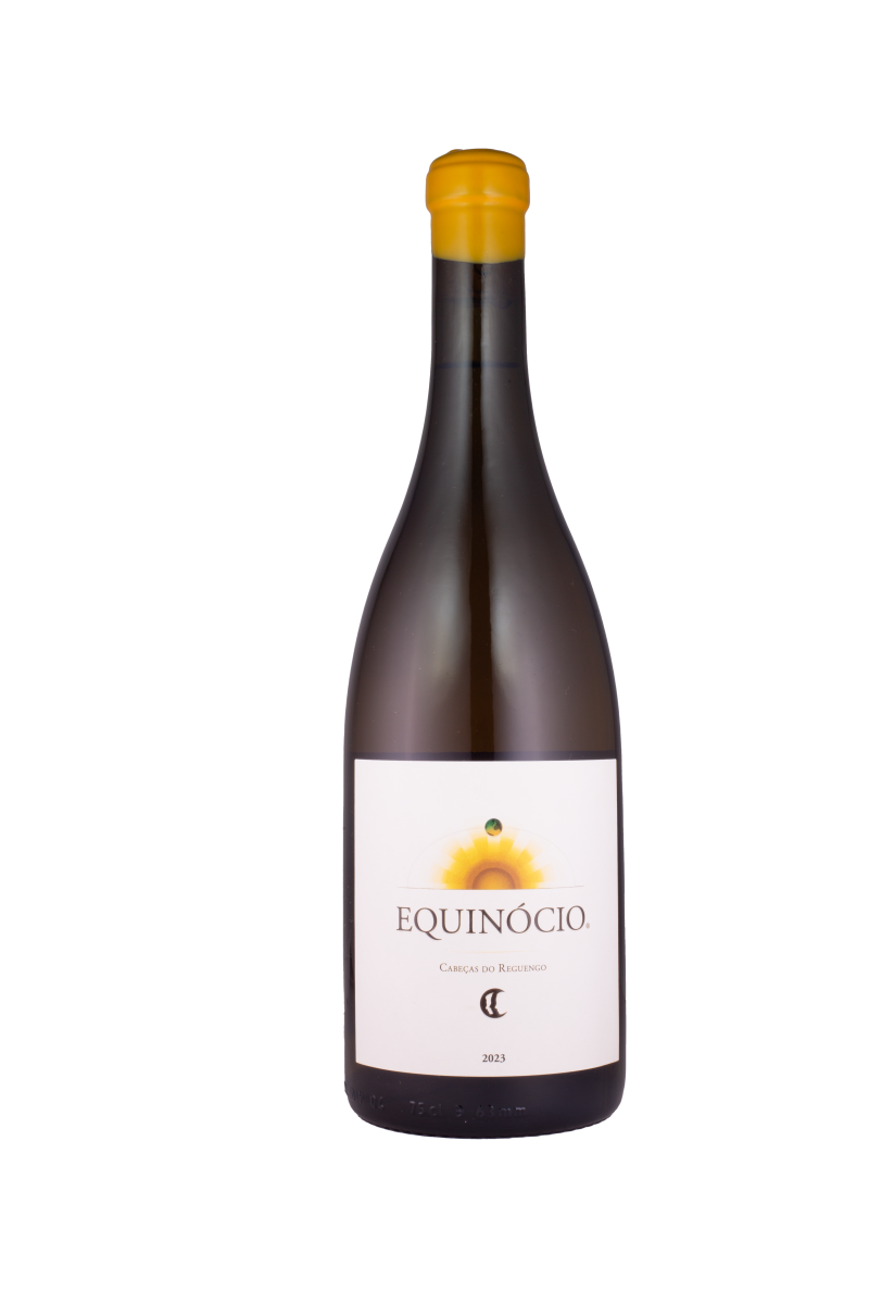 Equinocio White, 2023