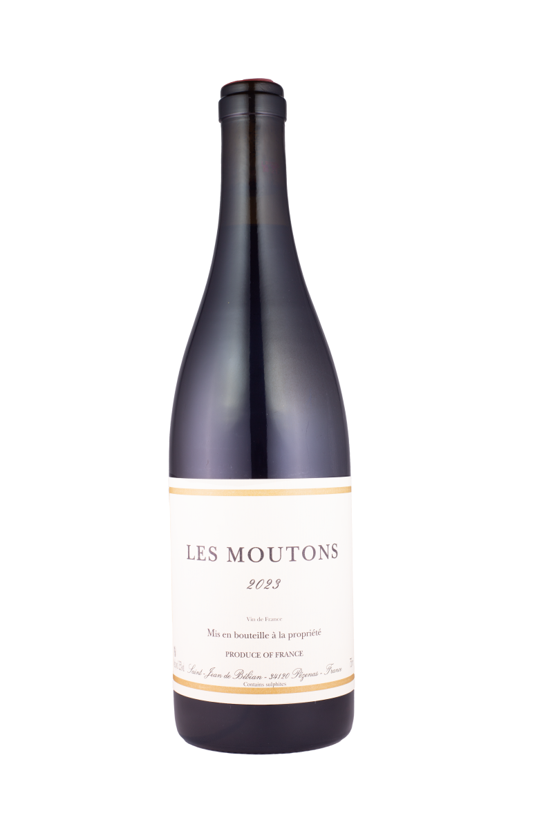 Moutons rouge, 2023