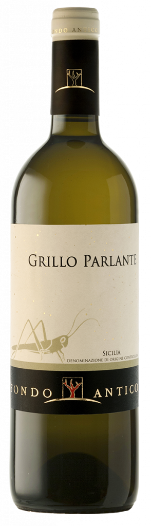 Grillo ‘Parlante’, 2021